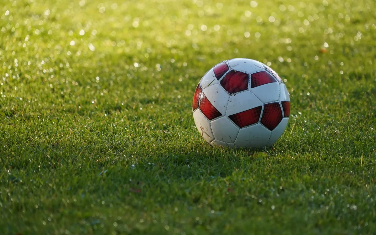 Minge albă de fotbal cu panouri roșii și negre pe gazon cu rouă