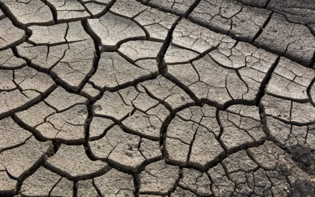 Sol uscat cu crăpături neregulate, luminat de soare